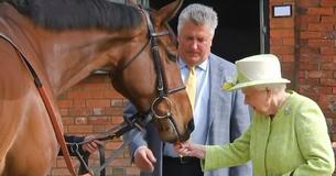 The Queen Has A Job Opening As The Caretaker Of Her Horses, Salary Is $26k And Accommodation Is Included At Buckingham Palace