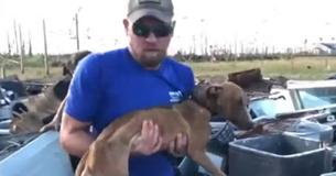Puppy Found Alive In Rubble One Month After Hurricane Dorian Ravaged The Bahamas