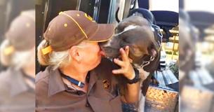 Pit Bull's Owner Dies So Delivery Driver Takes Her In