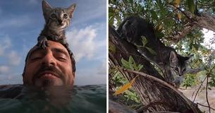 A Rescued Cat Is The Star Of 'Gracie Goes Adventuring' Featuring Her Life Outdoors