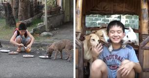 Un garçon de 9 ans a utilisé son argent de poche pour nourrir des chiens errants et ouvrir un refuge pour animaux