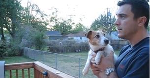 Un chiot semble adorablement excitée alors que son propriétaire lui parle au sujet des écureuils