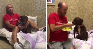 Un homme décide d'emménager dans un refuge pour aider une chienne solitaire que personne ne veut adopter