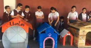 Mexican Children Built Homes For Stray Dogs With Recycled Materials