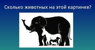 Все спорят, сколько же животных на этой картинке. Скольких ты сможешь найти?