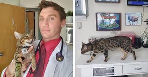 Man Who Nearly Died Starts Successful Family Practice Clinic With Therapy Cats
