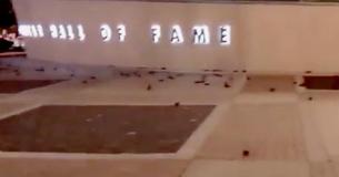More Than A Hundred Birds Kill Themselves Crashing Into NASCAR Hall of Fame