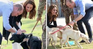 Prince William And Kate Middleton Relax With Dogs After Their Stormy, Frightening Flight