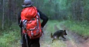 Les sauveteurs pensent que la fillette de 4 ans est disparue à jamais, 11 jours plus tard, ils la retrouvent grâce à son chien