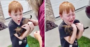 Heart-Warming Moment When A Boy Is Surprised With A Tiny Puppy By His Grandparents
