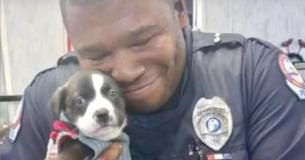 En ayant reçu un appel, un policier fini par recevoir un chiot abandonné 