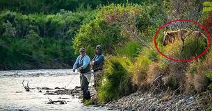 Un fotógrafo de vida salvaje tomó una foto de dos pescadores siendo observados por un oso pardo