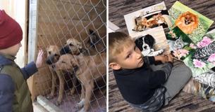 9-Year-Old Sells His Distinctive Paintings For Meals And Supplies For Animals Shelters