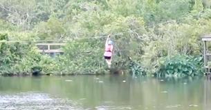 Une femme faisant un tout en tyrolienne voit un alligator surgir de l'eau et sautant en essayant de la manger