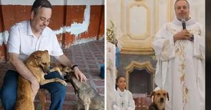 Priest Rescues Stray Dogs And Brings Them To Church To Find Them New Homes