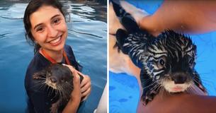 Guests Can Swim With Otters At Lousiana Animal Preserve