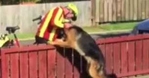 Mailman Makes Sure To Give A Misjudged Neighborhood Dog A Hug Every Day