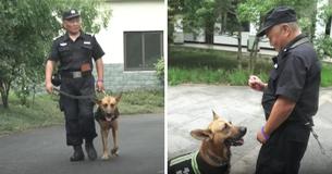 Un policier voit des chiens K-9 à la retraite vivant dans la misère et décide de leur construire une maison