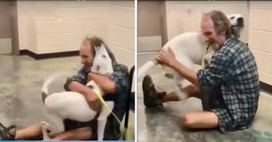 Homeless Artist In Memphis Lost His Dog And Their Reunion Was Caught On Camera