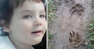 Un garçon de 2 ans porté disparu est retrouvé par la police grâce aux empreintes de pas d'un chien
