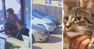 Cat's Microchip Leads Rescue Organization Right Back To Owners Who Abandoned It