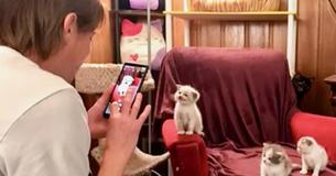 Foster Kitten Named Blossom Has A Broad Smile On Her Face During Photoshoot