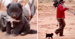 Des randonneurs trouvent un chiot affamé vivant dans un pneu qui avait été jeté au milieu du désert