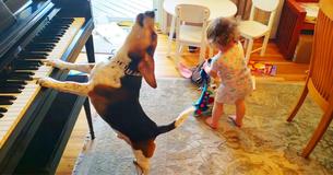 Le papa attrape sa petite fille en train de danser devant leur chien jouant du piano