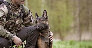 The Air Force Is Searching For People To Adopt Retired K-9 Dogs