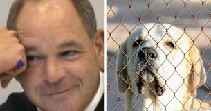 Un juge de l'Ohio fatigué par la propriétaire d'un animal domestique décide de la punir en la prenant à son propre jeu