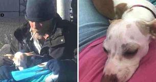 Vrouw neemt foto van dakloze man die voor een hond zorgde die op de snelweg werd achtergelaten en ze komt terug met bijna 6.500 euro