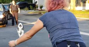 Frau unter Tränen wiedervereint mit Husky, der ihr mehr als zwei Jahre zuvor weggenommen wurde