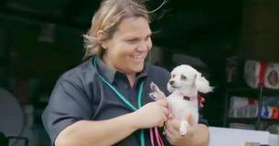 Woman Shrinks An Animal Shelter's Kill Rate From 100% To Nothing