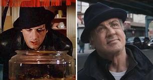 Sylvester Stallone révèle qu'il s'occupe des tortues de "Rocky" depuis 44 ans