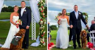 Army Veteran Chooses His Service Dog To Stand As His Best Man At His Wedding