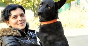 Missing Dog Walked Nearly 200 Miles Back To New Home Of Owner Who Had Originally Rescued Her