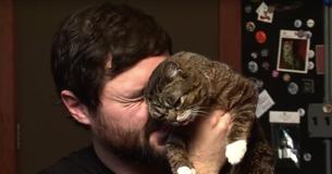 Dierenarts noemt kat met "afwijkingen" de vreemdste kat die hij ooit gezien heeft