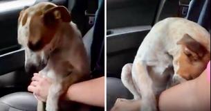 Geredde hond laat dankbaarheid zien door de nieuwe eigenaar te knuffelen