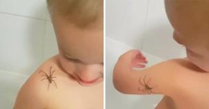 Un courageux petit garçon de 3 ans laisse l'araignée ramper joyeusement sur lui