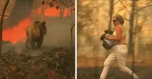 Woman Risks Her Own Life To Race Into Wildfire To Save A Koala Fighting For Its Life