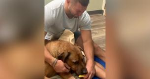 Tim Tebow Posted Heart-Wrenching Video After Beloved Dog 'Bronco' Passed Away