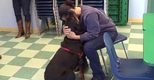 Une femme retrouve son Rottweiler au Vermont Shelter après deux ans d'absence