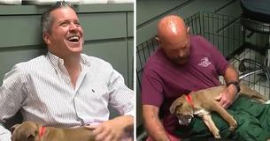 Animal Shelter Requires Volunteers To Reassure Their Pups
