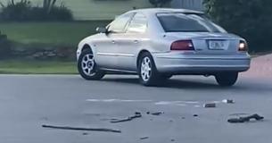 Car Drives In Circles For Hours Around Cul-De-Sac Before Neighbor Realizes A Dog Is Behind The Wheel