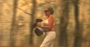 Lewis Le Koala sauvé par une femme dans la célèbre vidéo d'incendie est mort de ses blessures