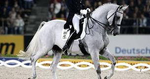 Trotting Horse Breaks Out Into Dance At WEG2006 Finals