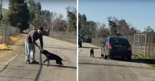 Un bon samaritain enregistre la scène d'un homme qui abandonne son chien . Il décide d'emmèner le chien dans un refuge.