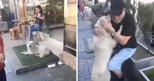 Family Is Shattered After Losing Dog And Find Him 2 Months Later Living On The Streets