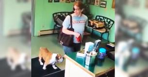 Une femme portant un cache-œil dépose son chien malade chez le toiletteur pour ne jamais revenir le chercher