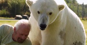 Animal Trainer Can Casually Swim With Polar Bear